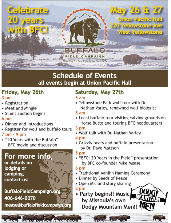 BFC 20th Anniversary Poster