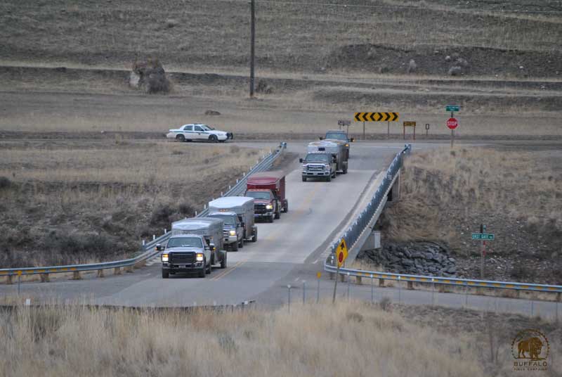 what is the interagency bison management plan ibmp