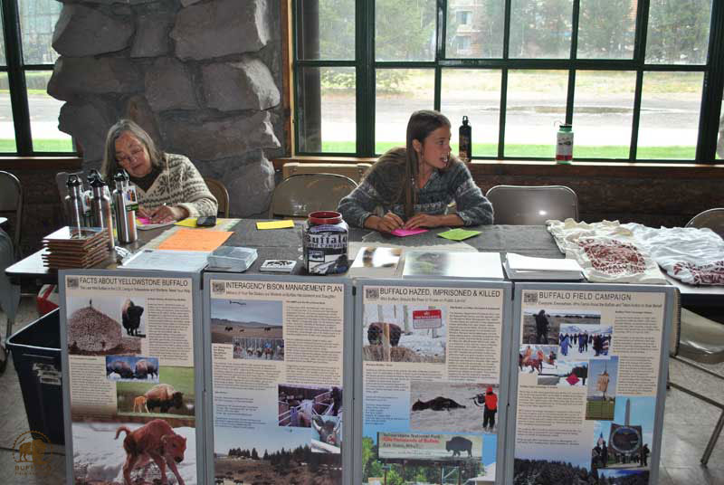Buffalo Field Campaign Education and Outreach Tabling