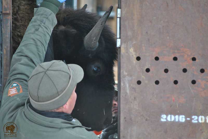 2017 03 02 02 001 Update YNP sqeeze chute 3 1 17 BFCseay2017