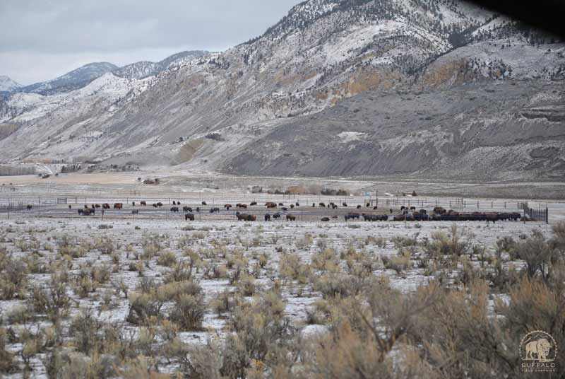 2017 03 02 02 002 Update DeathRow mediaTour3 1 17 BFCseay