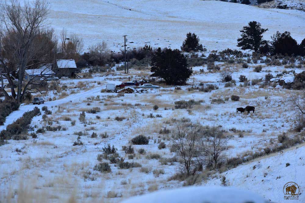 2019 01 31 01 001 Update1 BFC Stephany Seay photo