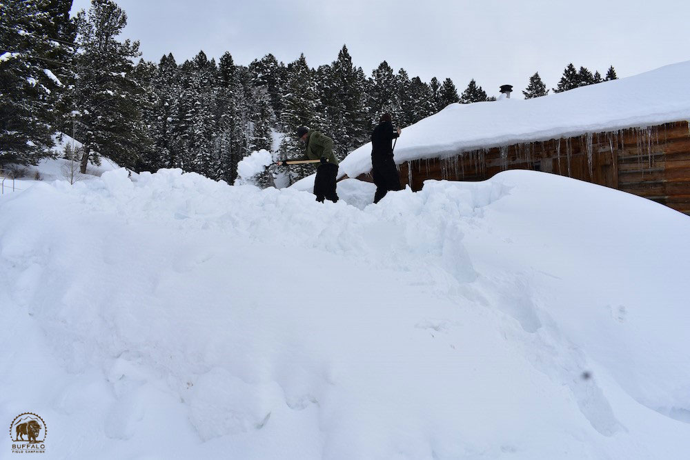 2019 02 28 02 001 Update 1 BFC Stephany Seay photo