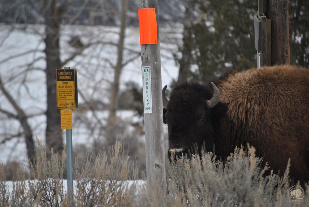 2019 03 07 01 001 Update 1 BFC Stephany Seay photo