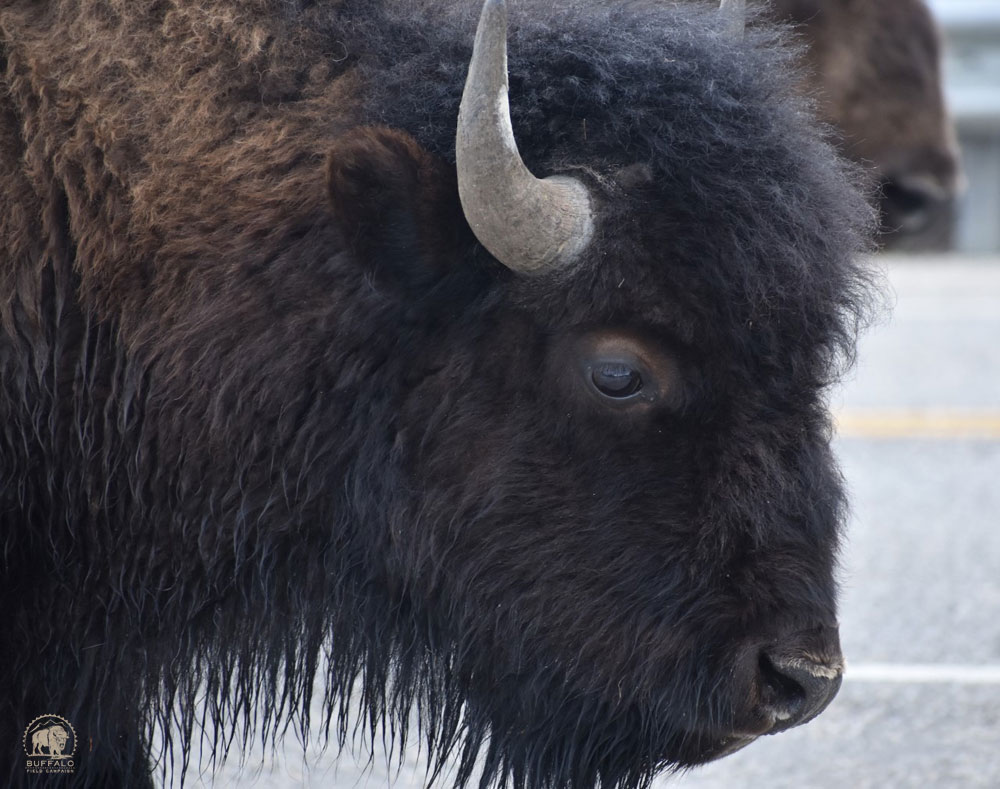 2019 04 18 01 001 Update 1 BFC Stephany Seay photo 1