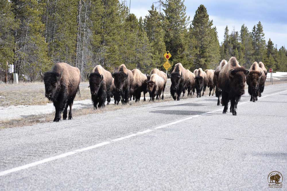 2019 04 18 01 002 Update 2 BFC Stephany Seay photo