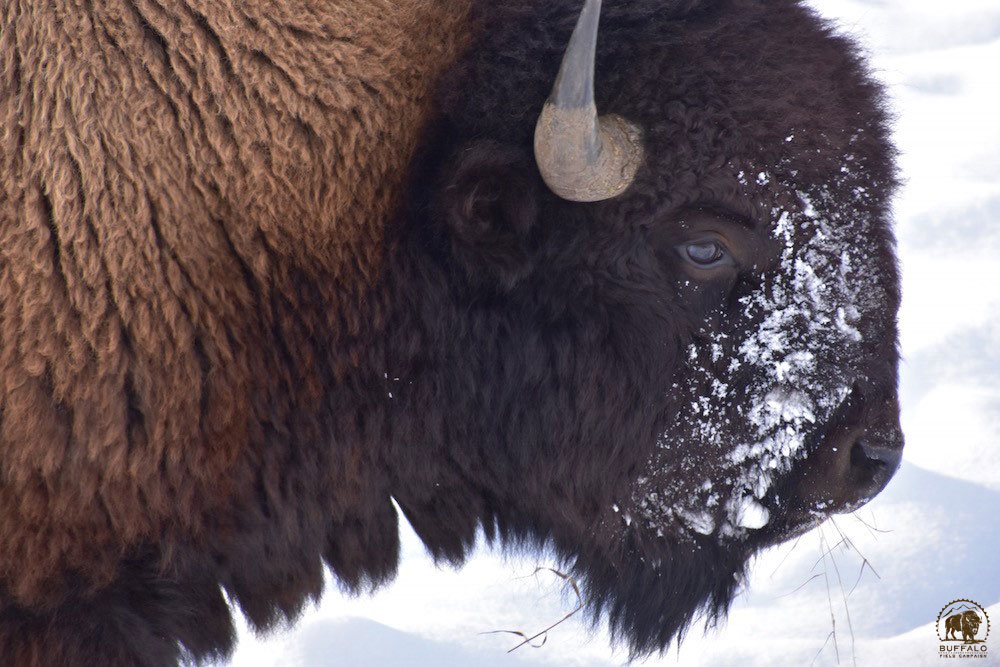 2019 12 11 01 002 Update 2 BFC Stephany Seay photo