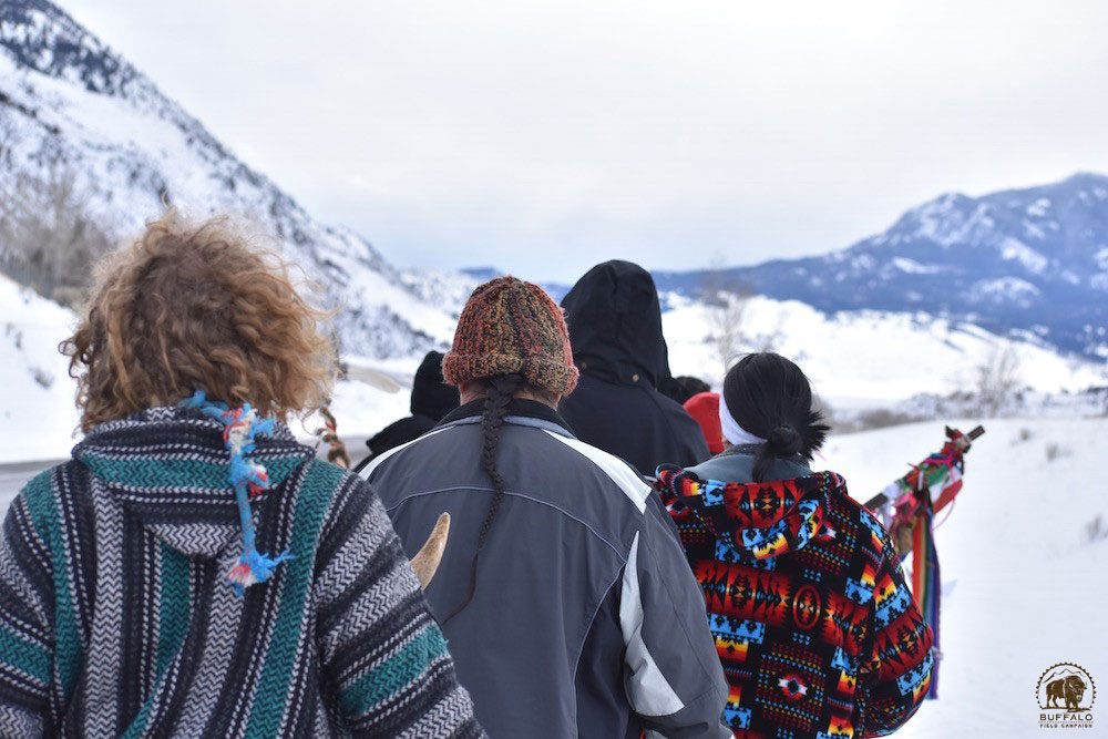 2020 02 20 rosalie walk 2020 11