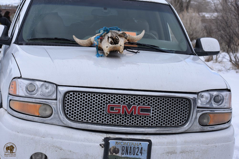 2020 02 20 rosalie walk 2020 12