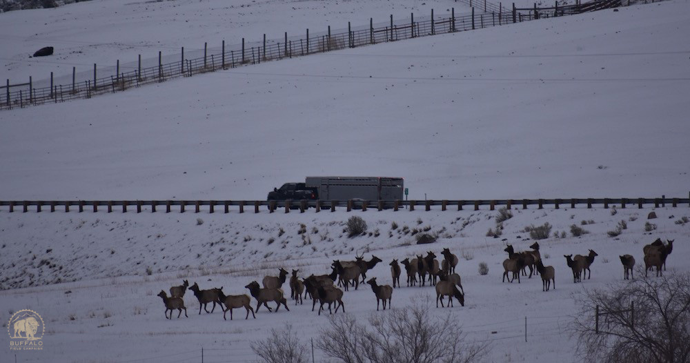 2020 03 19 01 003 Update 3 BFC Stephany Seay photo