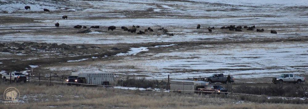 2020 03 26 01 001 Update 1 BFC Stephany Seay photo