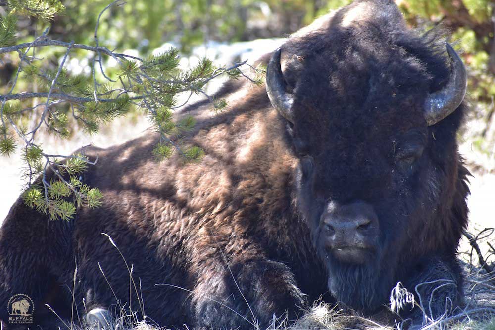 2020 04 30 01 002 Update 3 BFC Stephany Seay photo