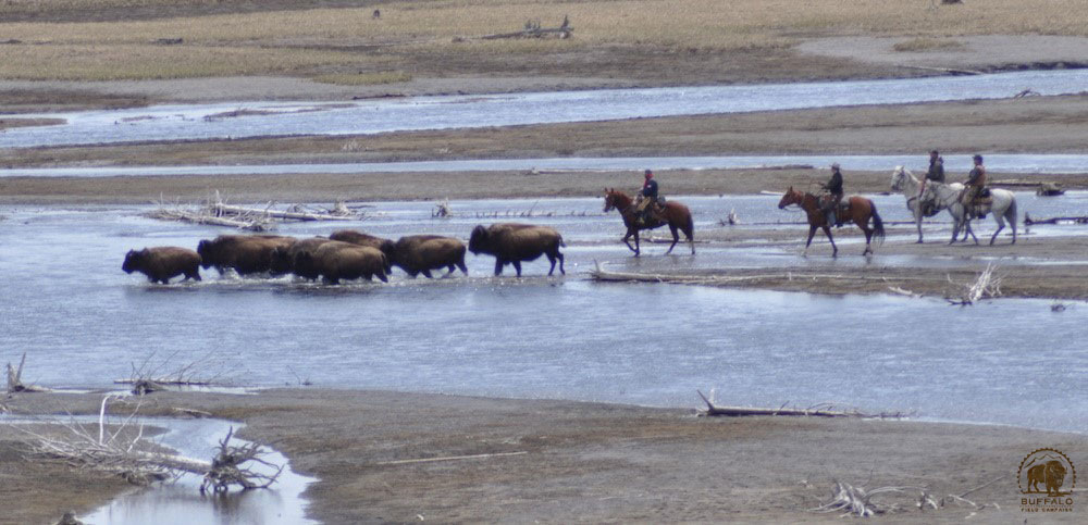 2020 05 14 01 001 Update 1 BFC Greg Marin photo