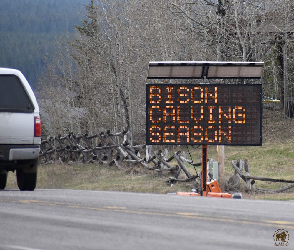 2020 05 14 01 003 Update 3 BFC Stephany Seay photo