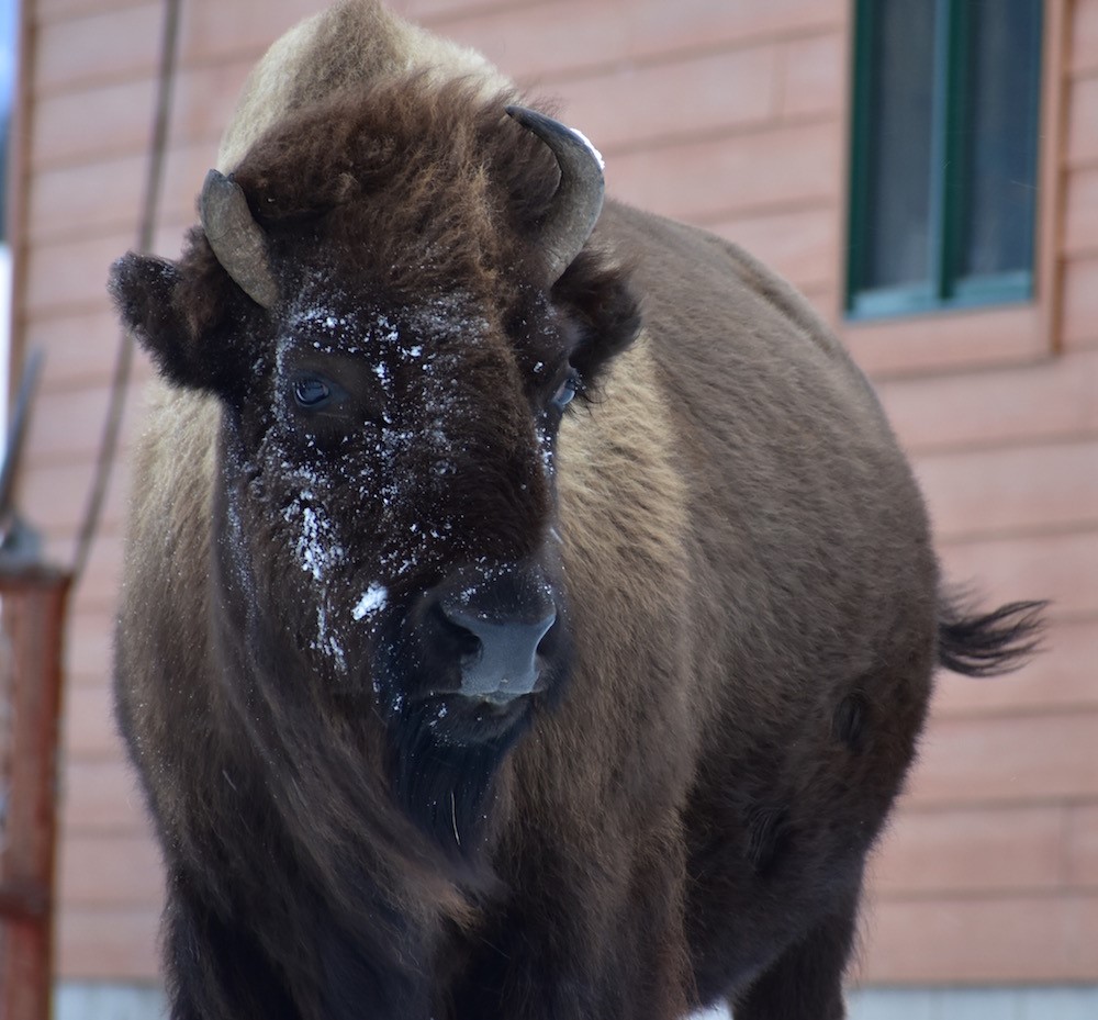 2020 12 24 01 001 Update 1 BFC Stephany Seay photo