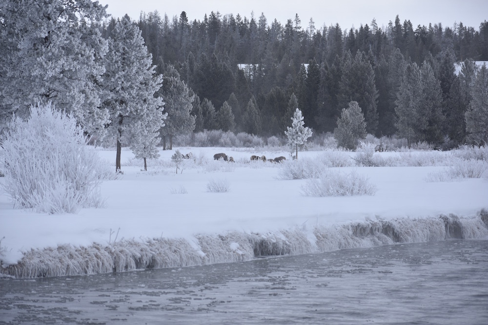 2021 03 04 01 001 Update 1 BFC Stephany Seay photo