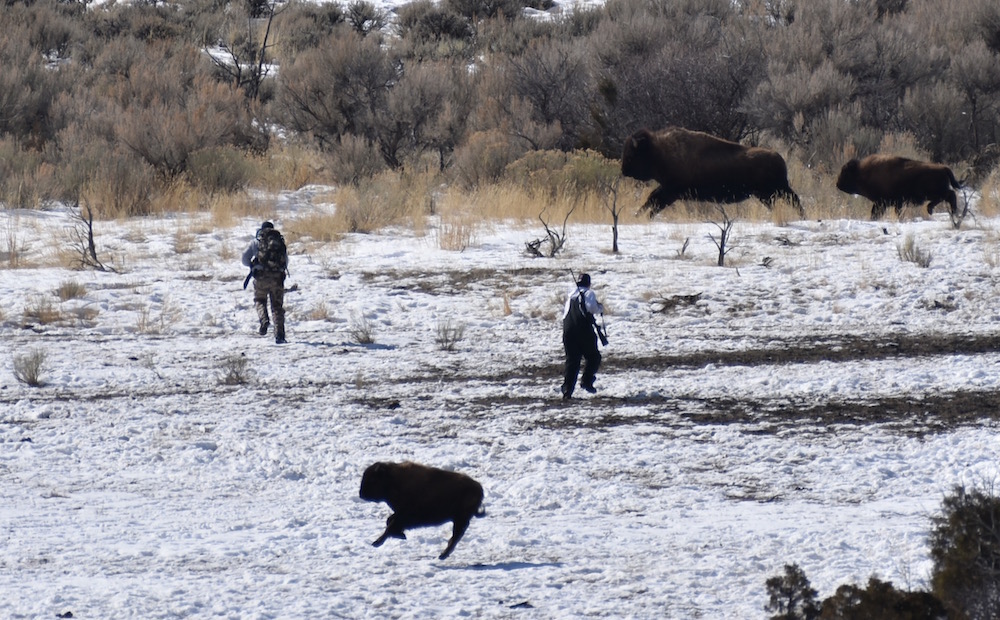 2021 03 04 01 002 Update 2 BFC Stephany Seay