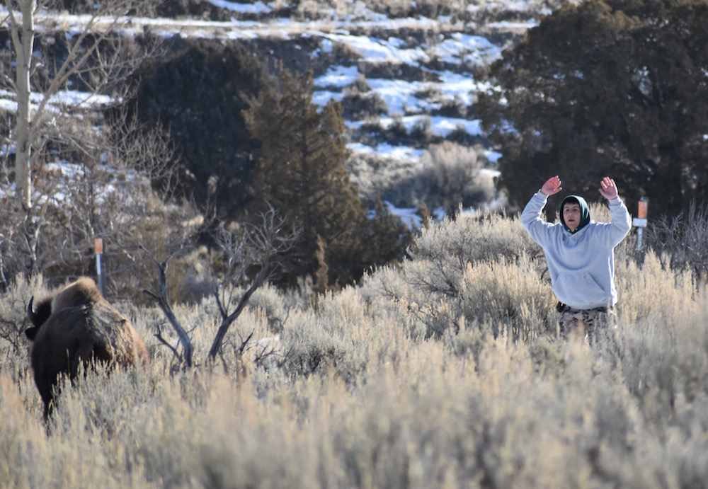 2021 03 04 01 003 Update 3 BFC Stephany Seay photo