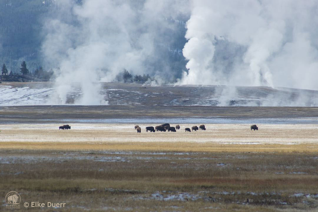 bfc calendar 2020 09 september elke duerr watermarked