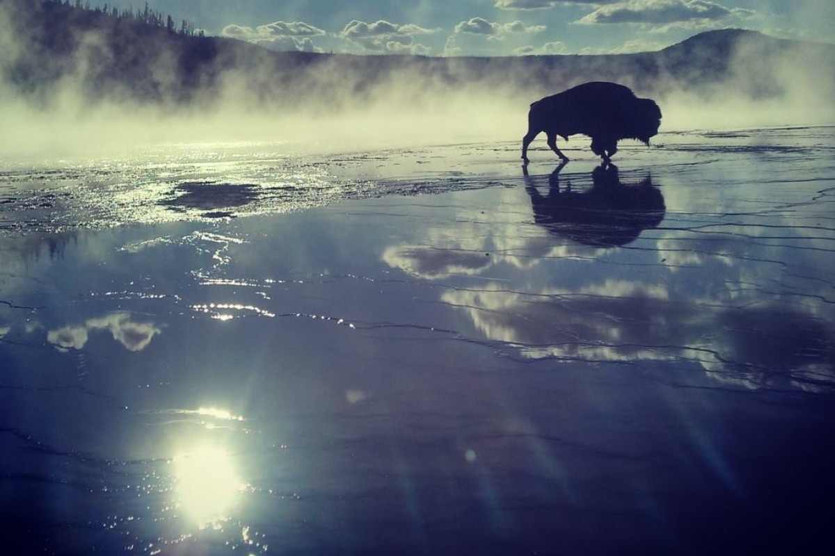 2022 05 27 01 on the buffalo trail may 2022