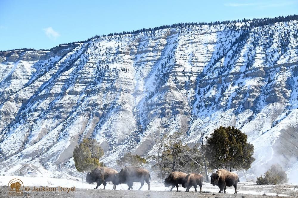 bfc museum Jackson Doyel Image 37 watermarked