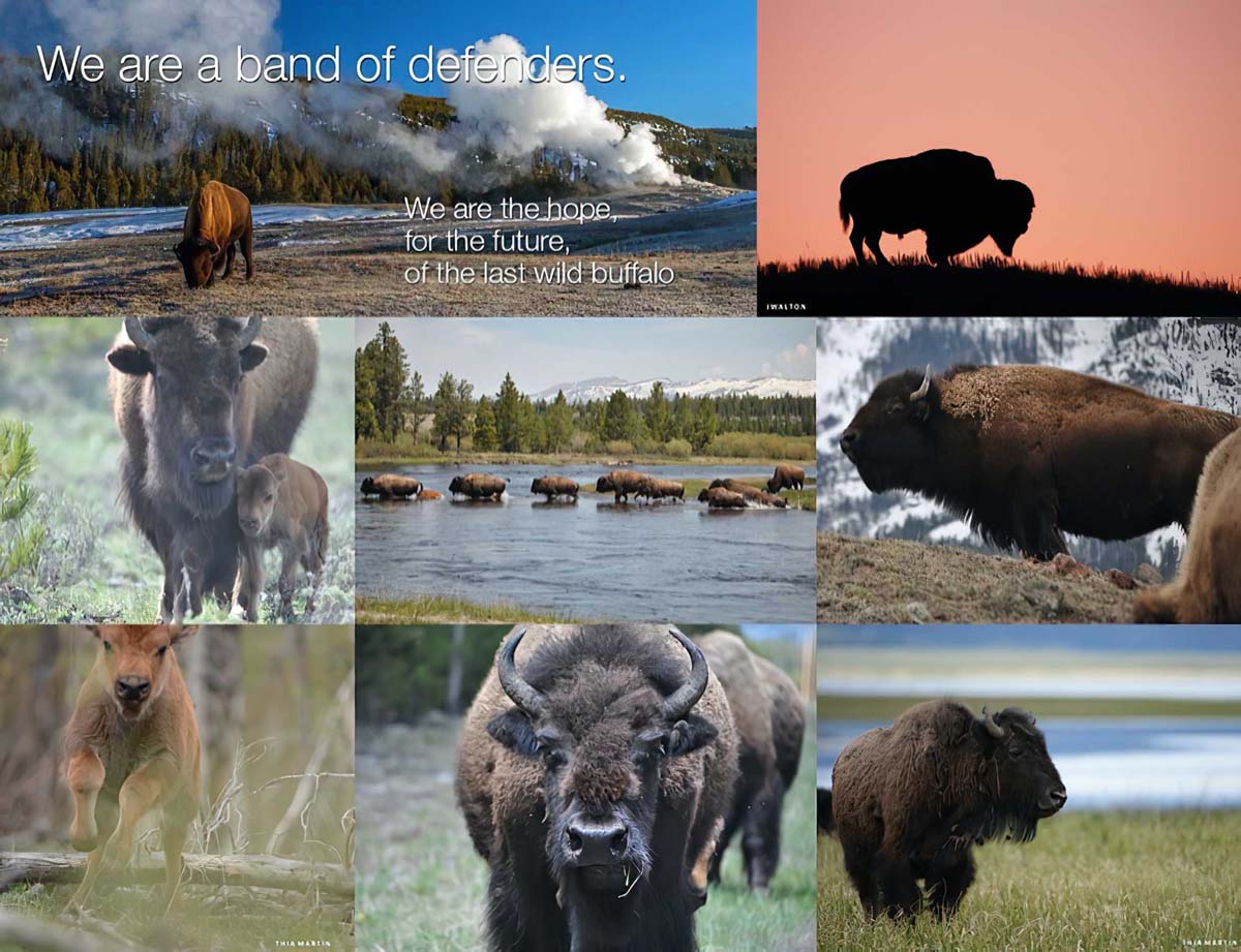 2025 02 06 A Message from a BFC Intern