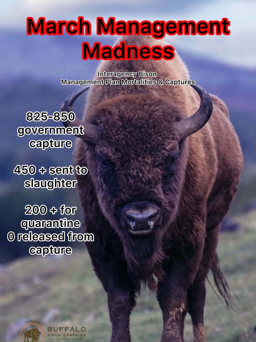 March Management Madness numbers