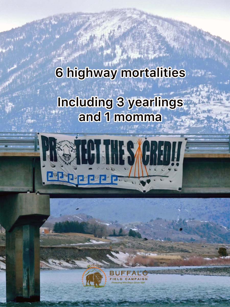 March Management Madness numbers