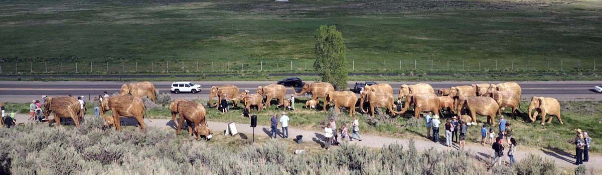 Great Elephant Migration Event All the Elephants May 2025