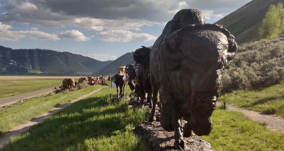 Great Elephant Migration Event Buffs Phants May 2025