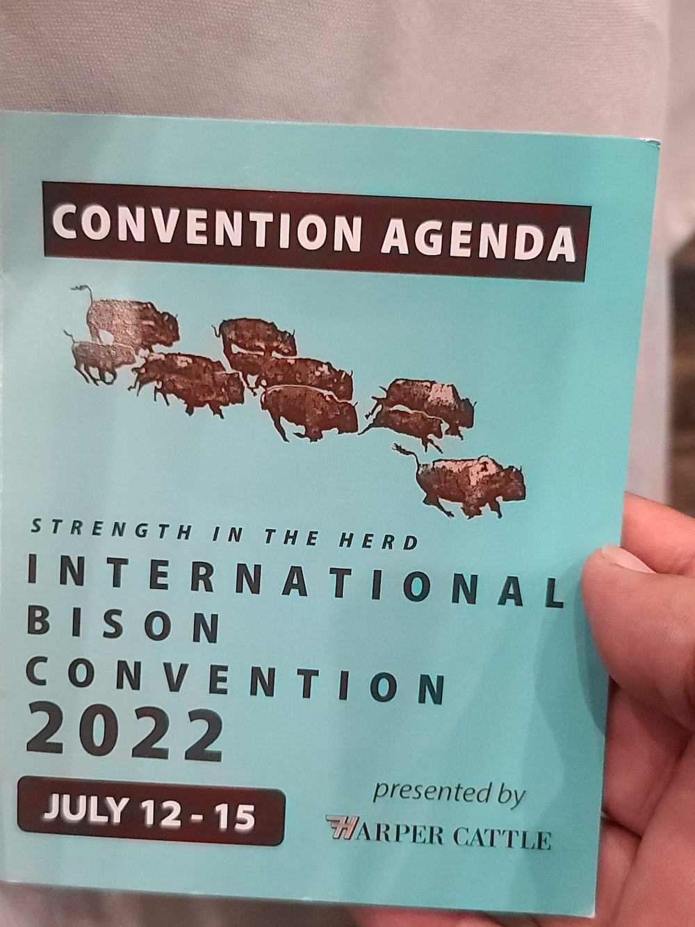 bfc obt july 2022 02