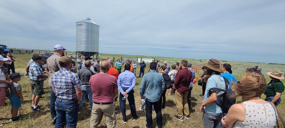 bfc obt july 2022 03