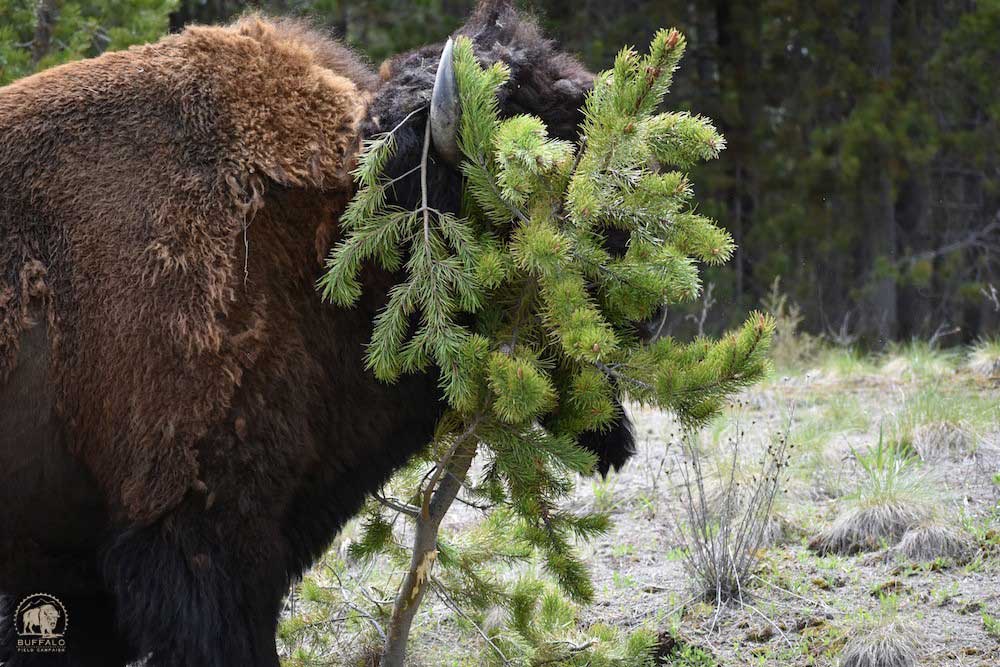 2020 06 18 01 001 OTBT 1 BFC Stephany Seay photo