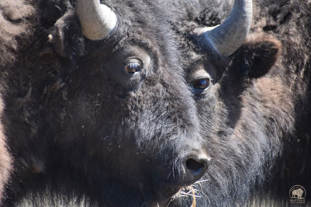 2020 06 18 01 002 OTBT 2 BFC Stephany Seay photo