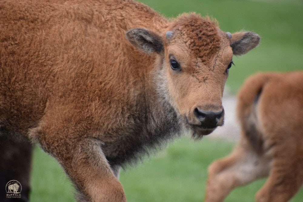 2020 06 18 01 003 OTBT 3 BFC Stephany Seay photo