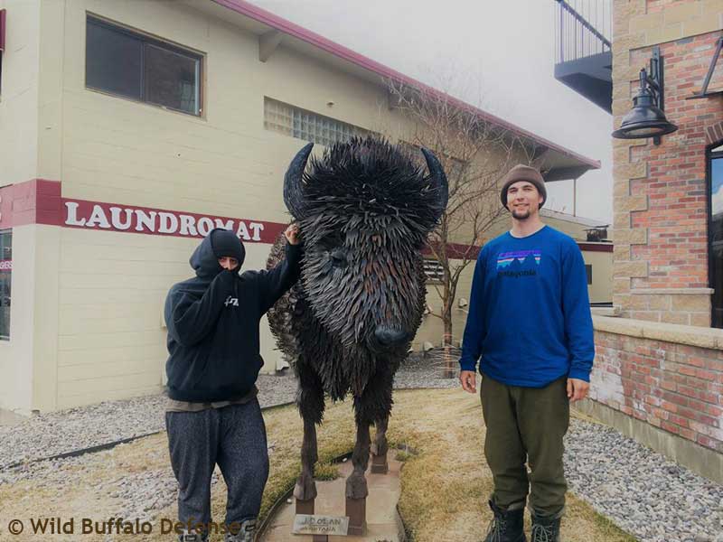 2018 03 20 Wild Buffalo Defense Wolf and Coyote Press Release 800