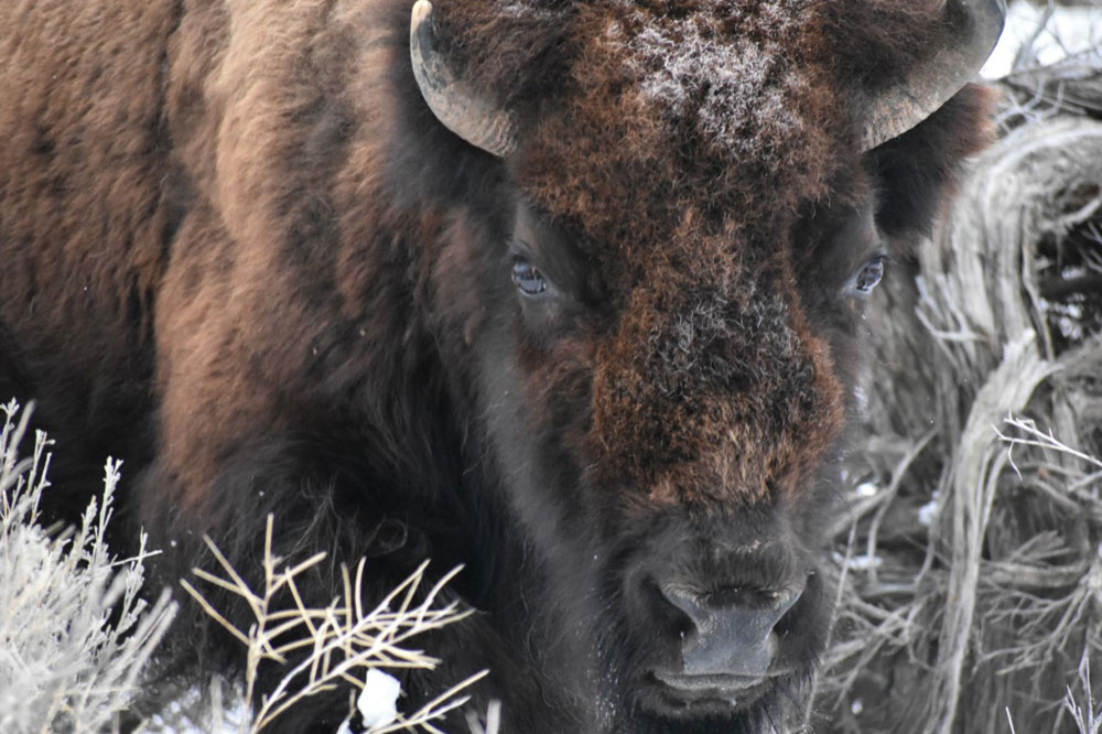 2020 03 24 01 001 DSC 0303