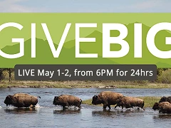Give Big 2025