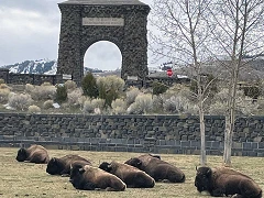 Yellowstone's north gate, The Arch