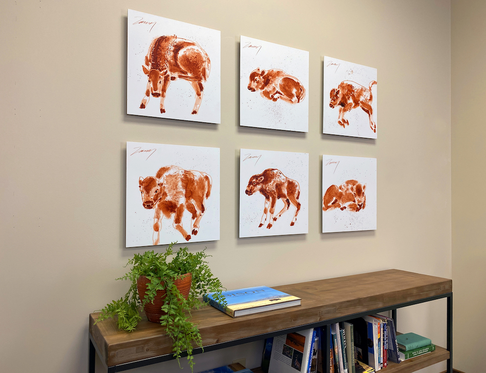 bfc One Wolf Facing Me 3083