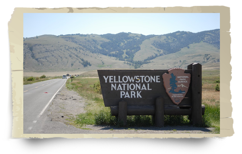 yellowstone national park